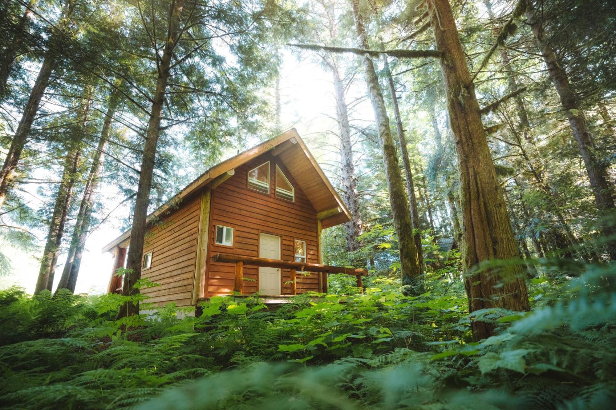 Bella Coola Grizzly Tours And Resort Hagensborg Luaran gambar