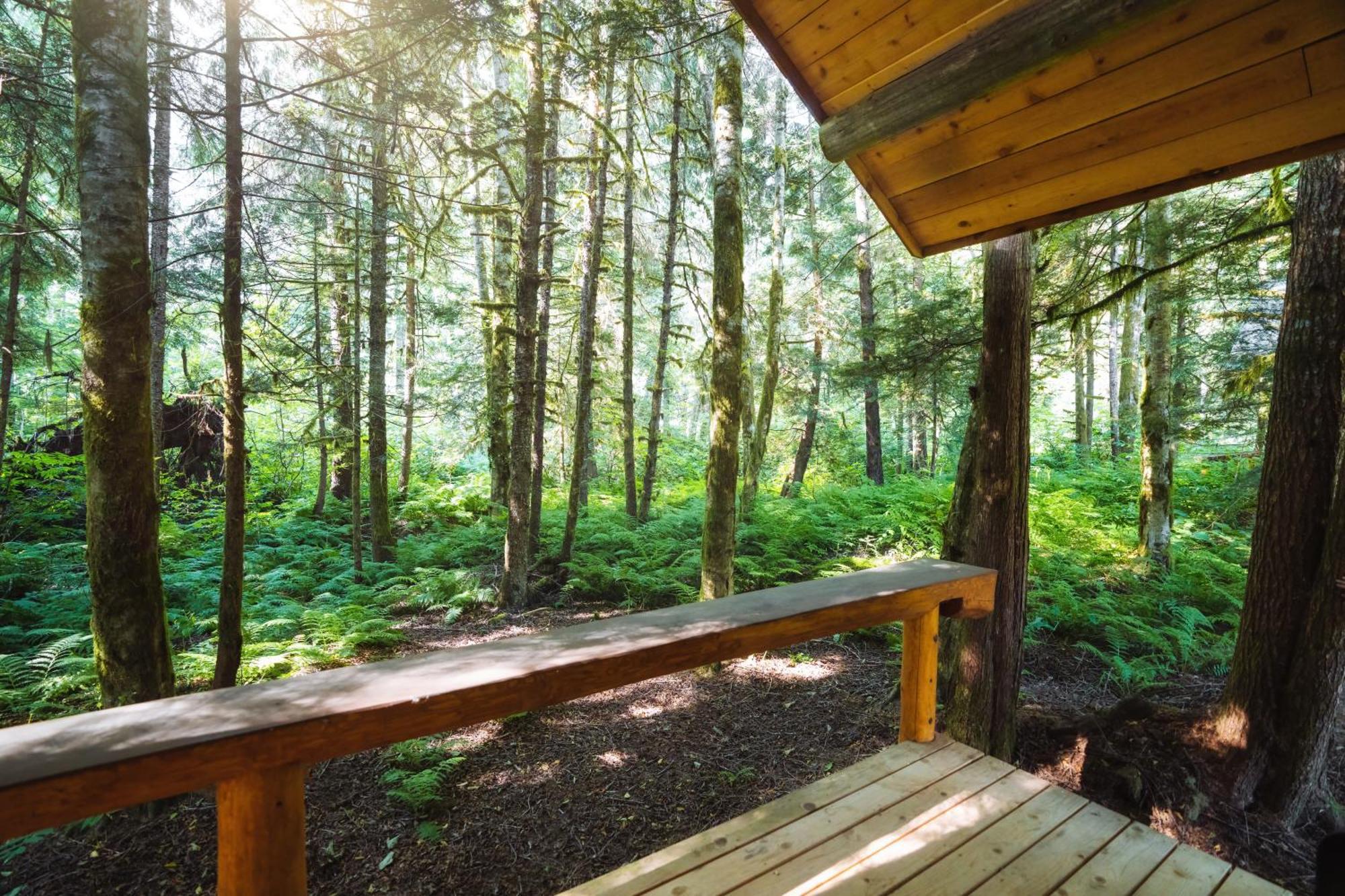 Bella Coola Grizzly Tours And Resort Hagensborg Luaran gambar
