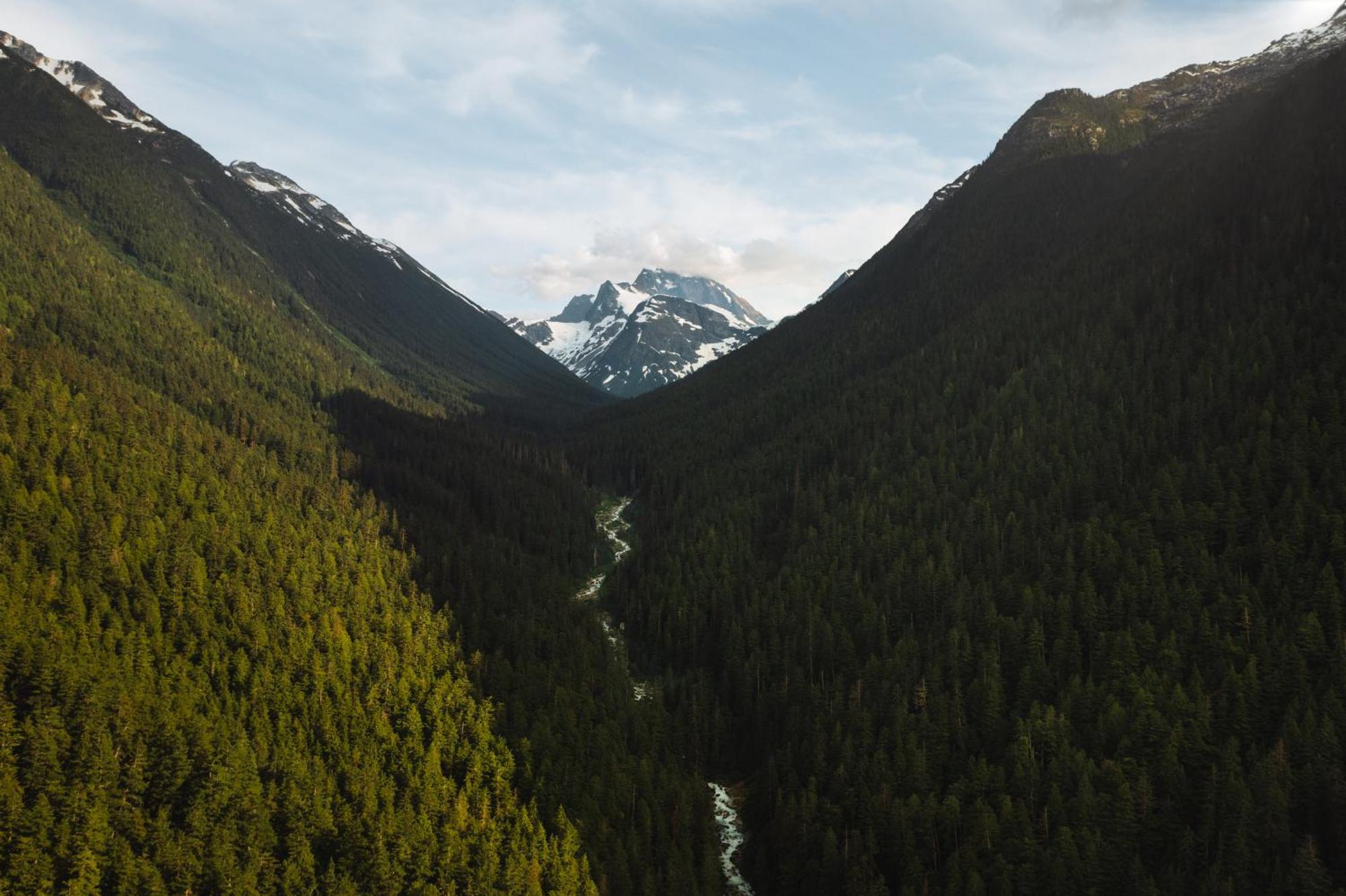 Bella Coola Grizzly Tours And Resort Hagensborg Luaran gambar