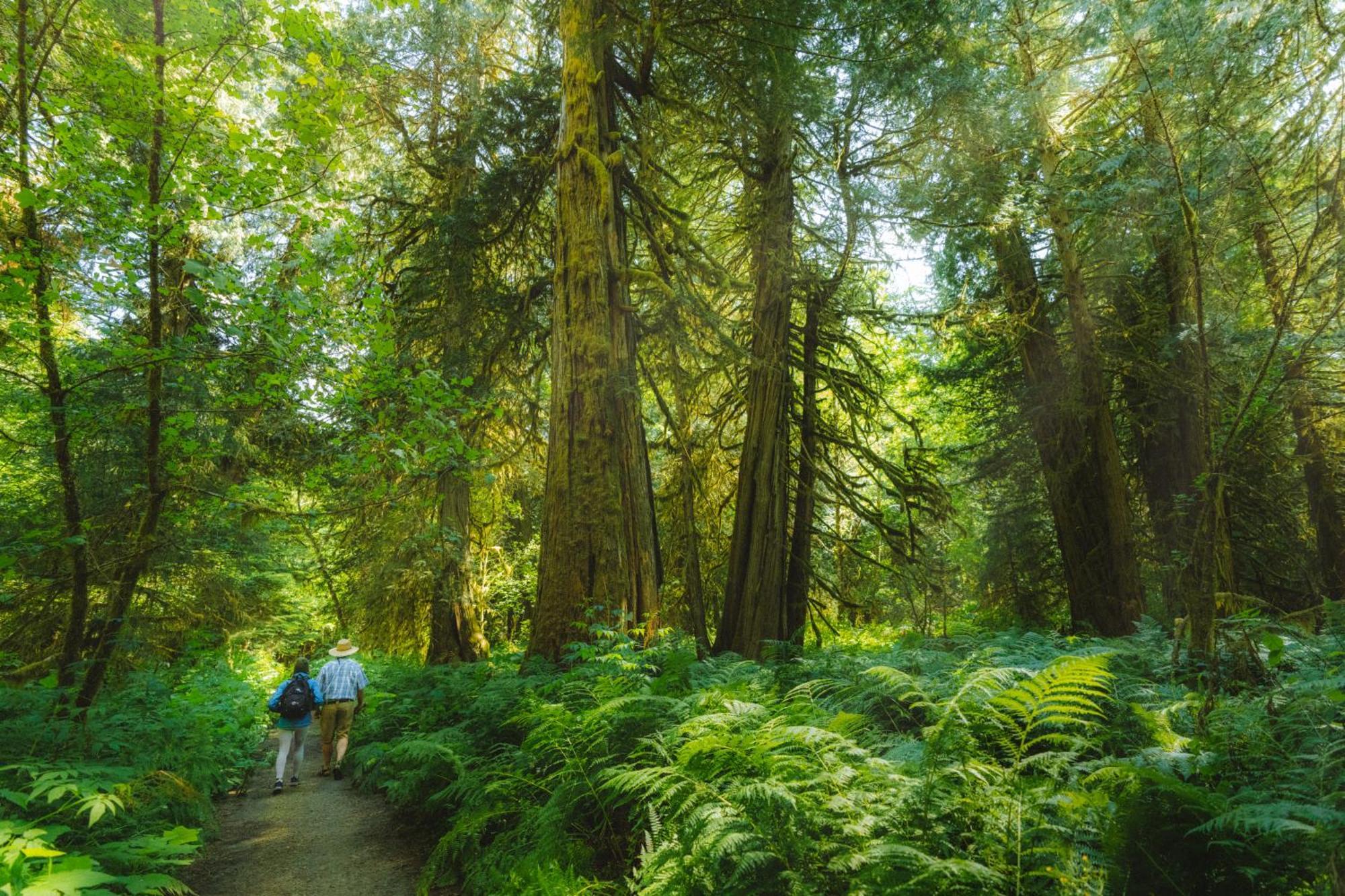 Bella Coola Grizzly Tours And Resort Hagensborg Luaran gambar