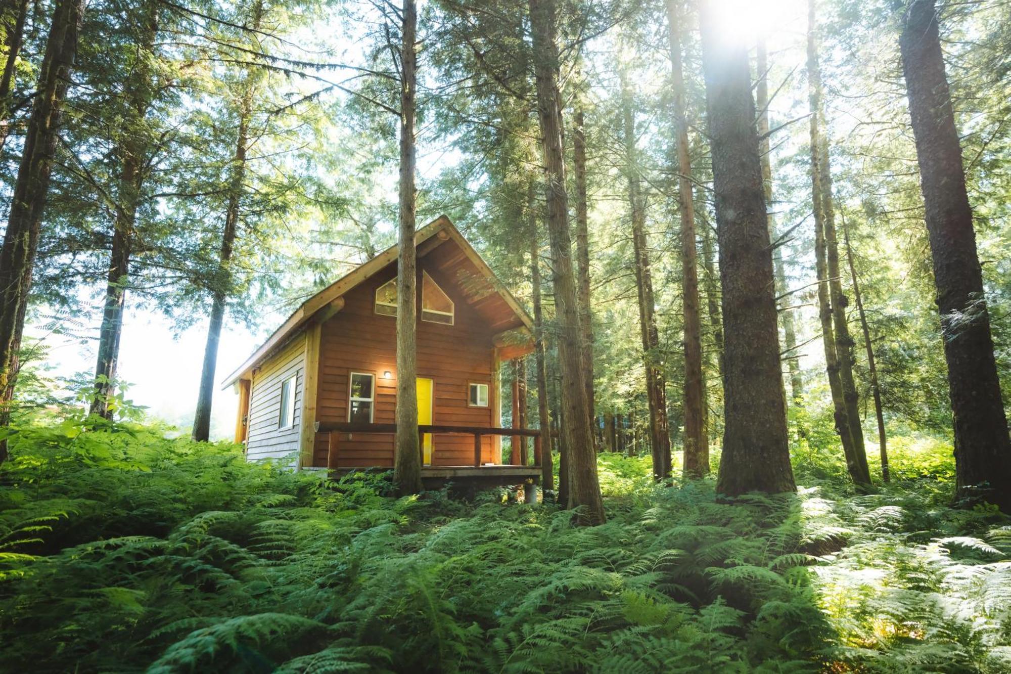 Bella Coola Grizzly Tours And Resort Hagensborg Luaran gambar