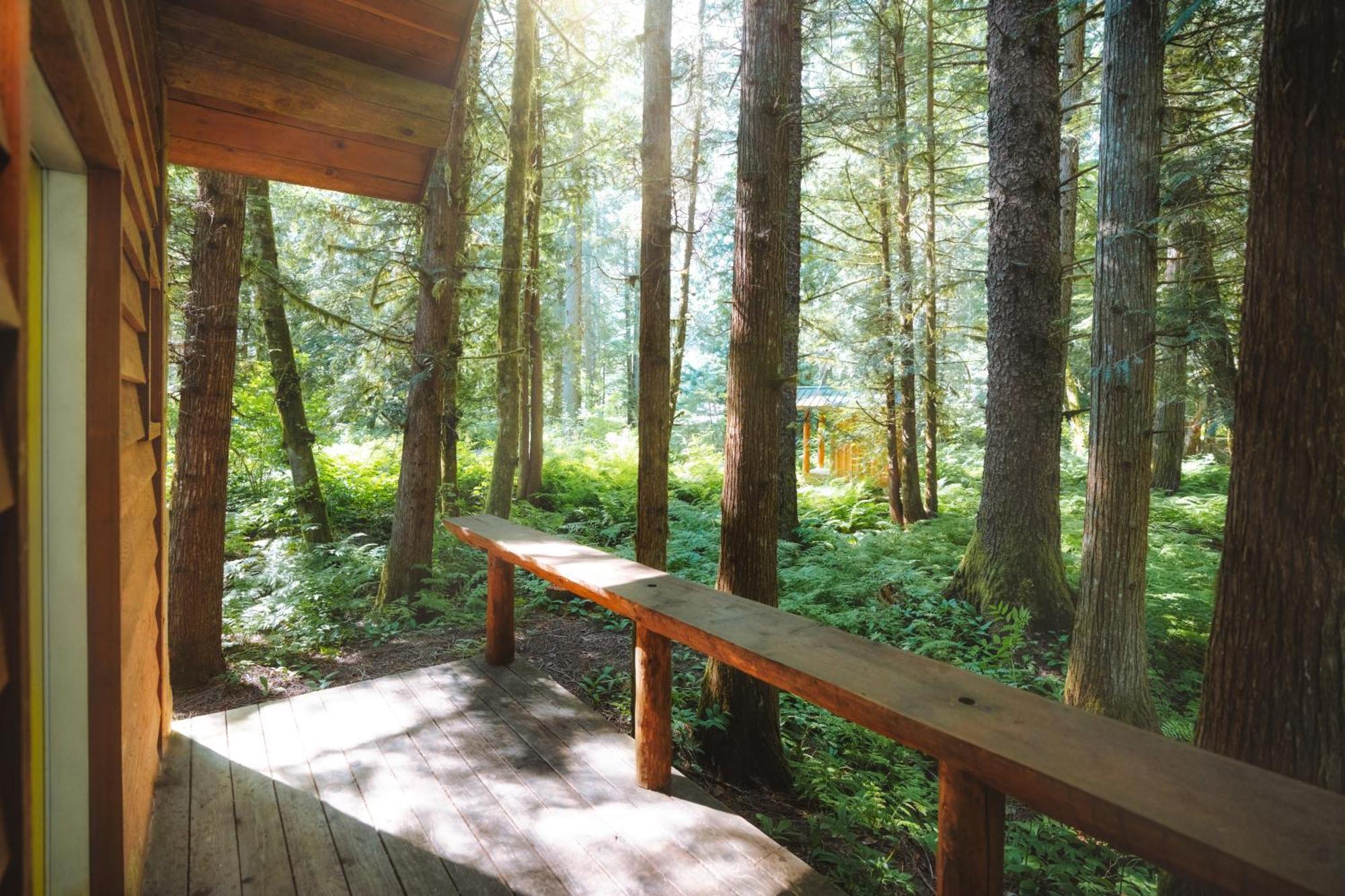 Bella Coola Grizzly Tours And Resort Hagensborg Luaran gambar