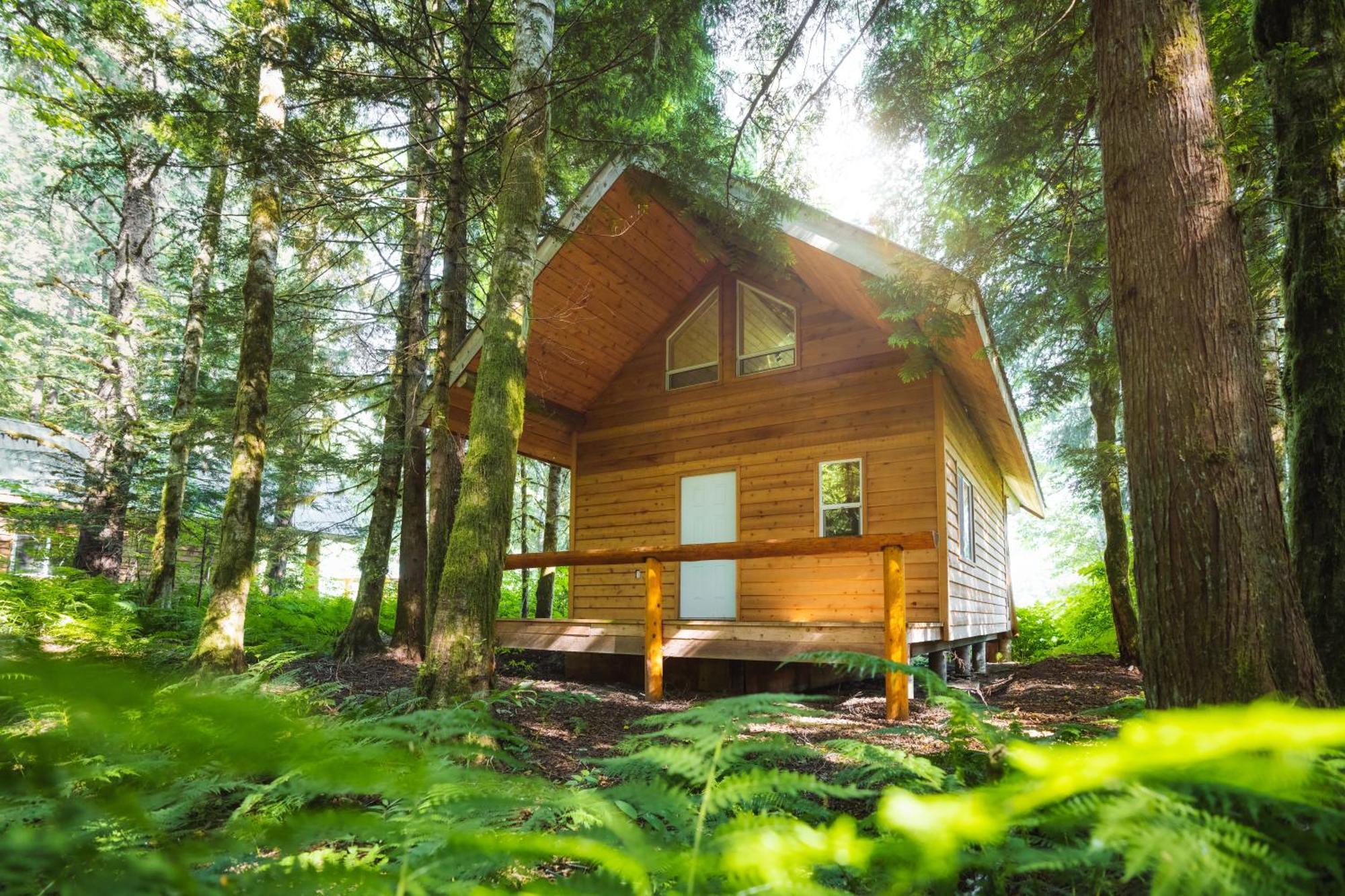 Bella Coola Grizzly Tours And Resort Hagensborg Luaran gambar